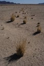 Namib desert near Solitaire, Namibia Royalty Free Stock Photo