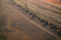 Namib desert road from the sky Royalty Free Stock Photo