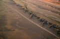 Namib desert road from the sky