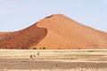 Namib desert sand dune