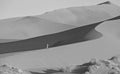Namib Desert Sand dune walking excursion Royalty Free Stock Photo
