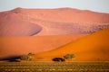 Namib Desert, Sossusvlei at sunset Royalty Free Stock Photo