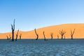 Namib Desert, Sossusvlei at sunset Royalty Free Stock Photo