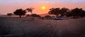 Namib desert at sunrise, Sossuvlei valley.