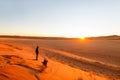 Namib desert at sunset Royalty Free Stock Photo