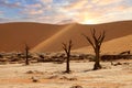 Namib-Naukluft National Park, Namibia, Africa Royalty Free Stock Photo