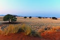 Naukluft National Park Namibia, Royalty Free Stock Photo