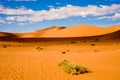 Namib-Naukluft Park, Namib Desert, orange dunes blue sky, white clouds, Sossusvlei, Namibia Royalty Free Stock Photo