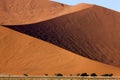 Namib-Naukluft Park, Sossusvlei Dunes, Namibia Royalty Free Stock Photo