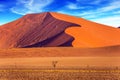 The Namib-Naukluft at sunset Royalty Free Stock Photo