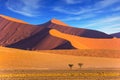 The Namib-Naukluft at sunset Royalty Free Stock Photo