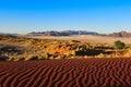 Namib Rand Nature Reserve (Namibia) Royalty Free Stock Photo