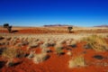 Namib Rand Nature Reserve (Namibia)