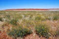 Namib Rand territory