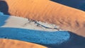 Namibia, aerial view of the Namib desert, dead acacias Royalty Free Stock Photo