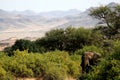 Namibia, Damaraland, Royalty Free Stock Photo