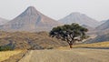 Namibia, Damaraland,, Royalty Free Stock Photo