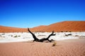 Namibia Dead Vley Royalty Free Stock Photo