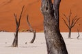 Namibia - Deadvlei trees and dunes Royalty Free Stock Photo