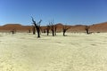 Namibia Deadvlei