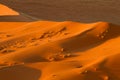 Namibia desert Royalty Free Stock Photo