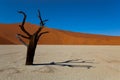 Namibia desert Royalty Free Stock Photo