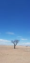 Namibia desert blue sky Royalty Free Stock Photo