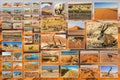 Namibia desert collage