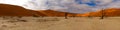 Namibia desert lake dried Royalty Free Stock Photo