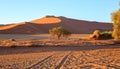 Namibia Desert with Orange sand dunes, and tyre tracks Royalty Free Stock Photo