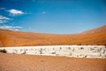 Namibia Desert, Sussusvlei, Africa Royalty Free Stock Photo