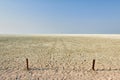 Namibia. Etosha National Park. The immense Etosha Pan