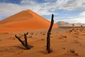 Namibia landscape. Big orange dune with blue sky and clouds, Sossusvlei, Namib desert, Namibia, Southern Africa. Red sand, biggest