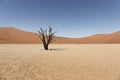 Namibia namib desert deadvlei Royalty Free Stock Photo