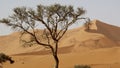 Namibia, Namib Desert, Royalty Free Stock Photo