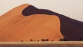 Namibia, Namib Desert, Royalty Free Stock Photo
