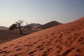 Namibia, Namib Desert, Royalty Free Stock Photo