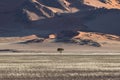 Namibia, the Namib desert, graphic landscape