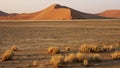 Namibia, Namib Desert, Royalty Free Stock Photo