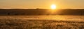 Namibia, panorama of the sunset on the Namib desert