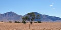 Namibia scenery, Africa Royalty Free Stock Photo