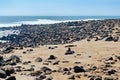 Namibia. Skeleton Coast. Cape fur seal colony at Cape Cross Royalty Free Stock Photo