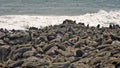 Namibia, Skeleton coast Royalty Free Stock Photo