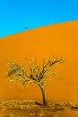 Giant yellow-orange dune