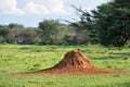 Namibia, termite mound Royalty Free Stock Photo
