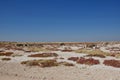 Namibia: Zebras in Etosha Pan and National Park near Halali camp