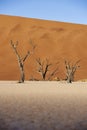 Namibian Cloudscape