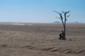 Namibian Desert Art Installation