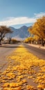 Namibian Desert Road: A Streetscape Of Chicano-inspired Environmental Art