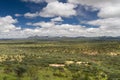 Namibian grassland in the rain season near Windhoek